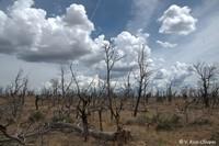 20120803 Mesa Verde 022