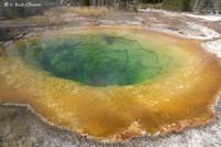 20120816 Yellowstone 156