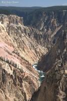 20120817 Yellowstone 277