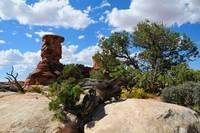 20140914 Canyonlands Needles 017